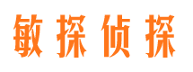 兴业市侦探公司